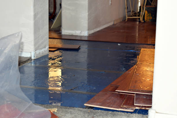 Professional Basement Flood Cleanup technician working in Chino, CA